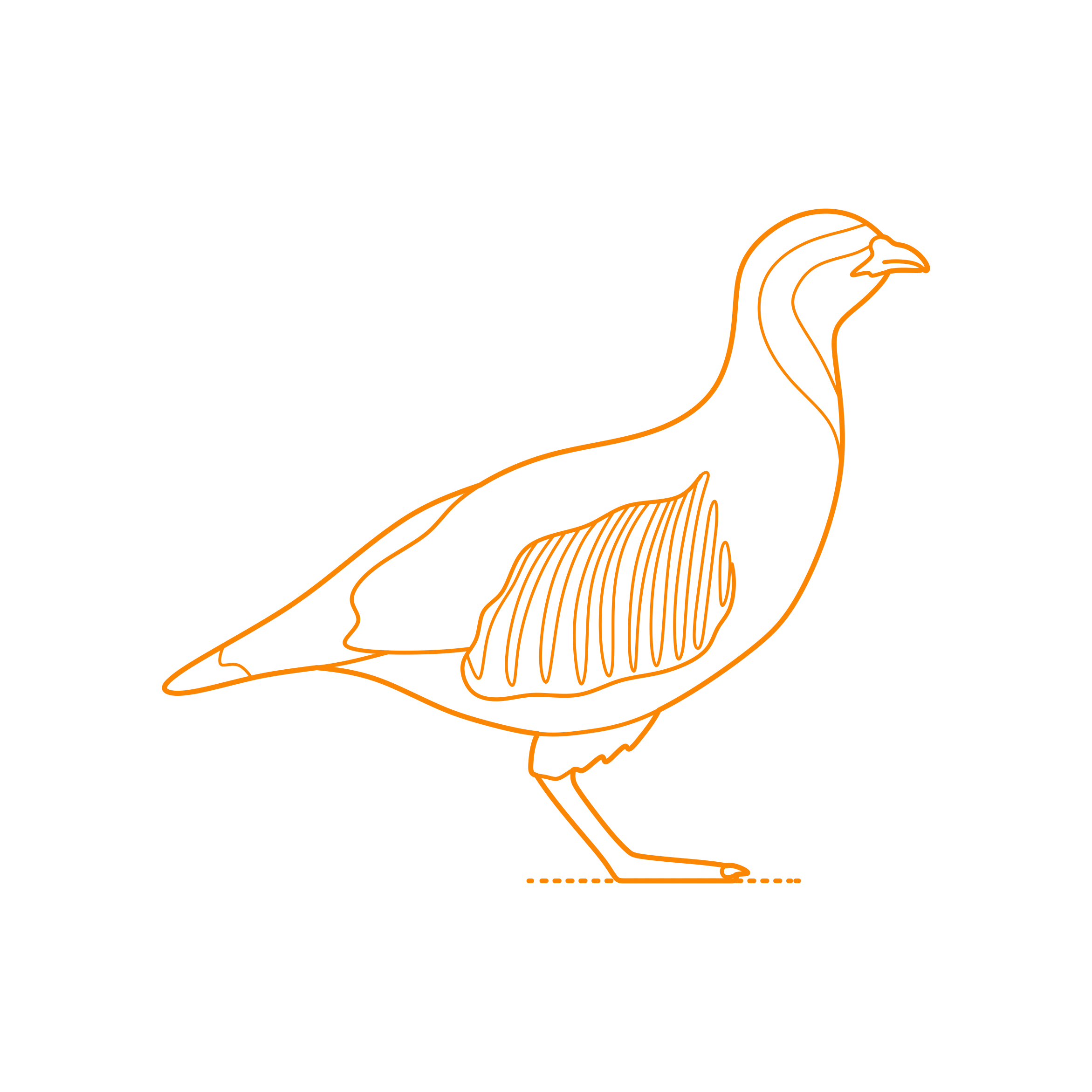 Animals Gamefowl Chukar Sketch Style Svg Vector Free Vectors